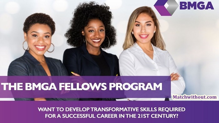 2021 BMGA Fellows Program Application For Young African Women