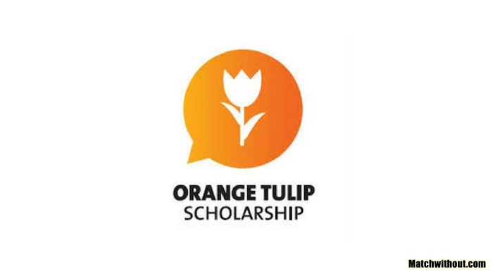 2021/22 Orange Tulip Scholarship Vietnam Application