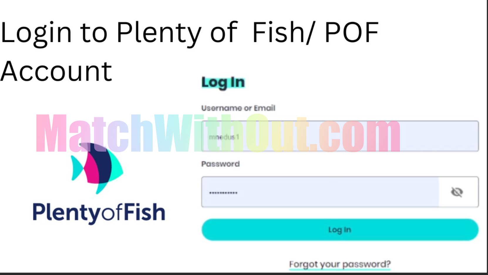 POF Dating Site Plenty Of Fish Login | POF PlentyOfFish Sign In Free